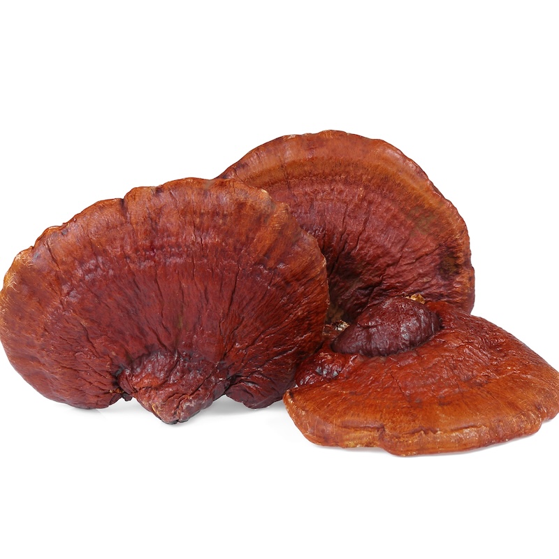 วัตถุดิบ