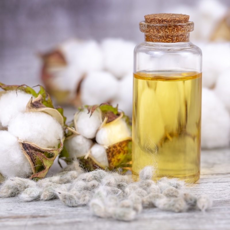 วัตถุดิบ