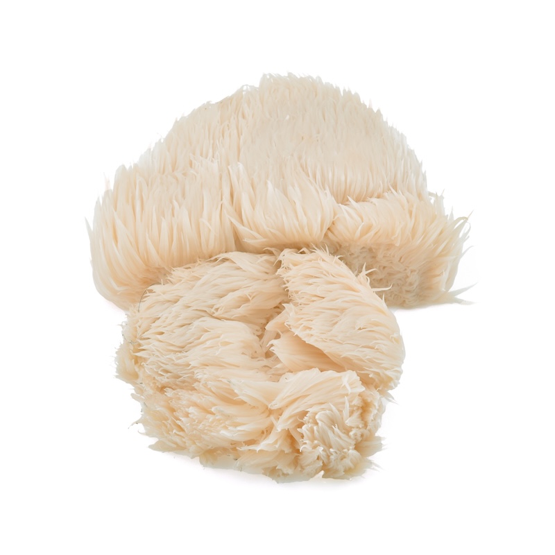 วัตถุดิบ