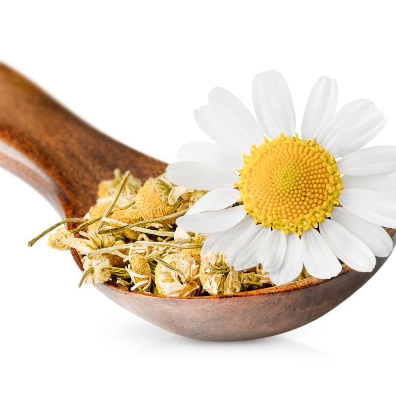 วัตถุดิบ