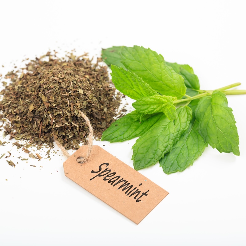 วัตถุดิบ