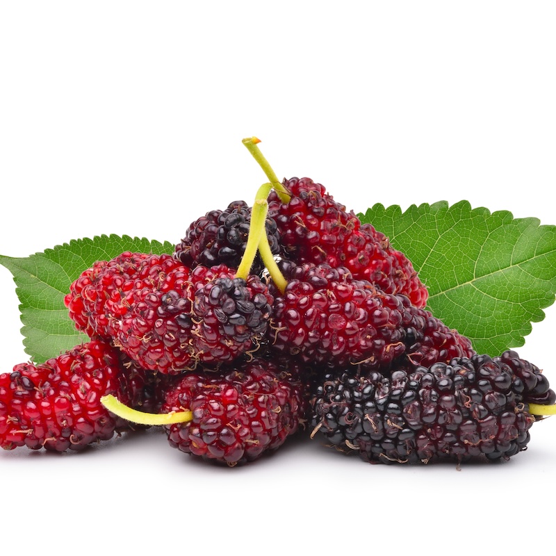 วัตถุดิบ