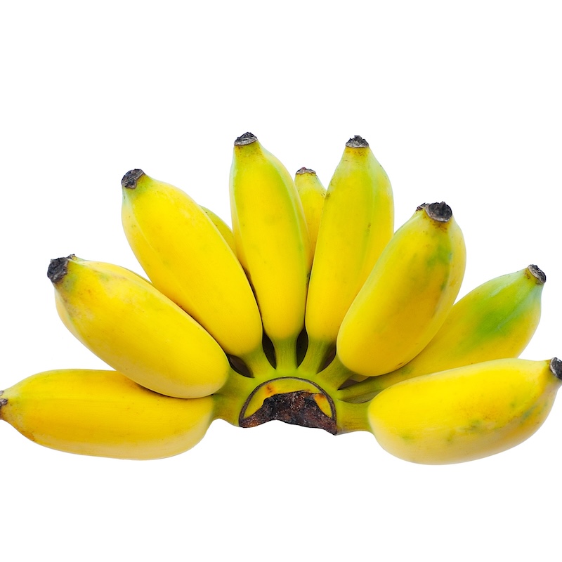 วัตถุดิบ