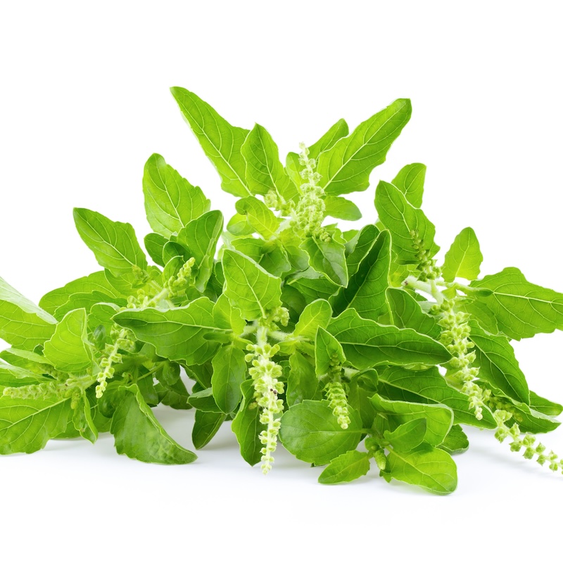 วัตถุดิบ