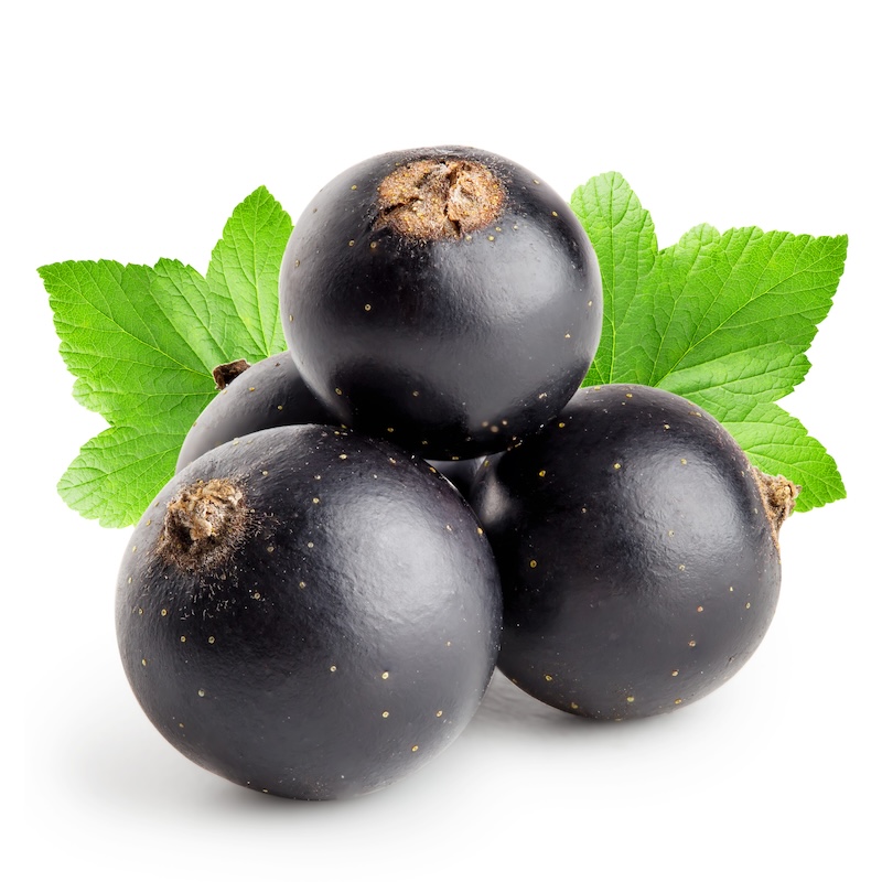 วัตถุดิบ