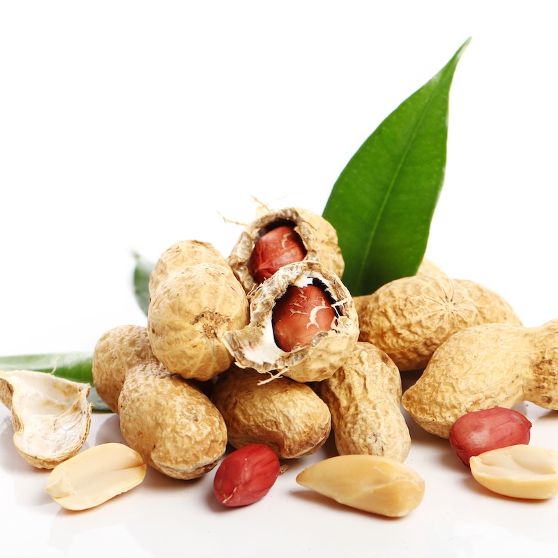 วัตถุดิบ