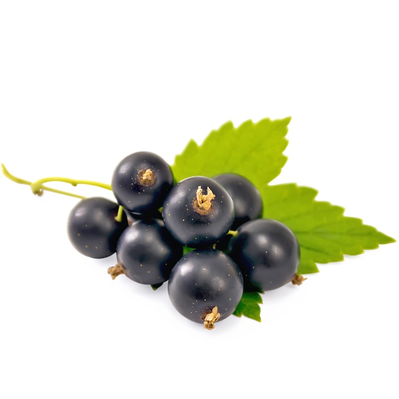 วัตถุดิบ