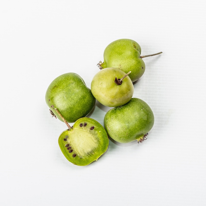 วัตถุดิบ