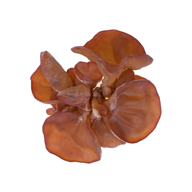 วัตถุดิบ