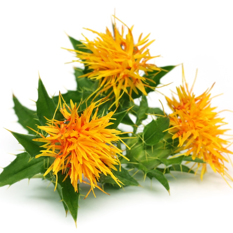 วัตถุดิบ